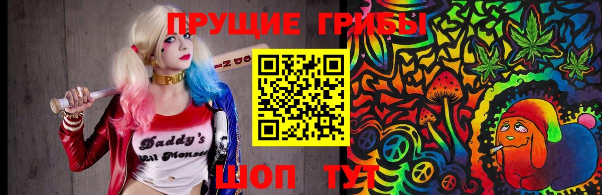 Псилоцибиновые грибы Psilocybine cubensis  что такое наркотик  Галлюциногенные грибы Psilocybine cubensis  Новочебоксарск  Вход с VPN 
