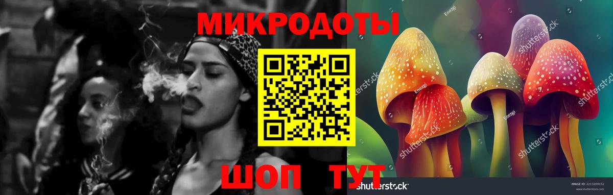 Псилоцибиновые грибы Cubensis Новочебоксарск
